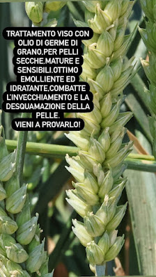 Immagine Estetica 23 2