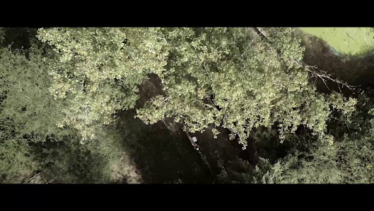 Immagine STEFANIA SCARCI Beauty & Relax 3