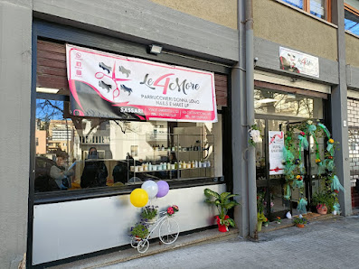 Immagine Le 4 More 2.0 4