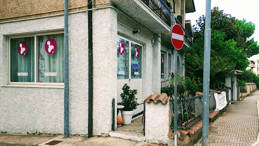 Immagine Centro Estetico Cristina Capriotti 2