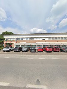 Immagine Paula Brasil 4