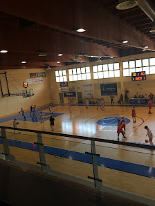 Immagine FEBA Civitanova Marche Basket 1
