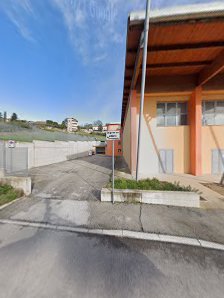 Immagine FEBA Civitanova Marche Basket 2