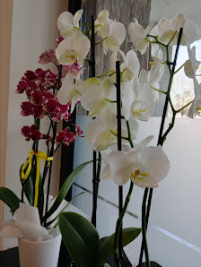 Immagine Beautiness Centro Estetico 1