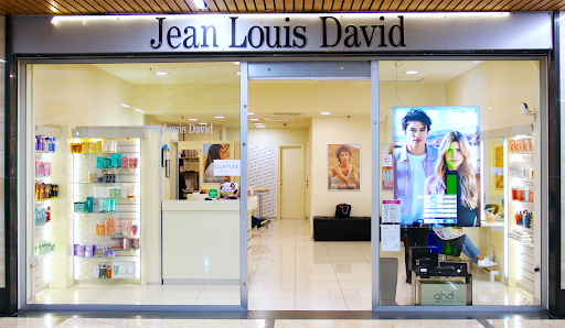 Immagine Jean Louis David Iperion 2