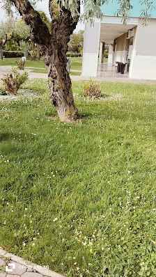 Immagine Centro Benessere Estetico Fisiotonic 3