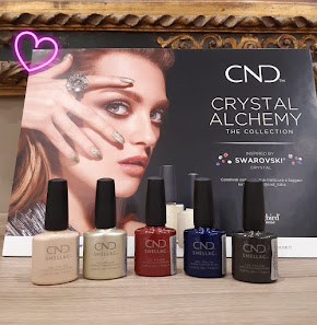 Immagine Centro Linea Rapallo 1