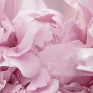 Immagine Estetica Claudia 5