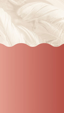 Immagine Estetica Plumè 2