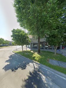 Immagine Sunny Day Di Cappon Sonia 1