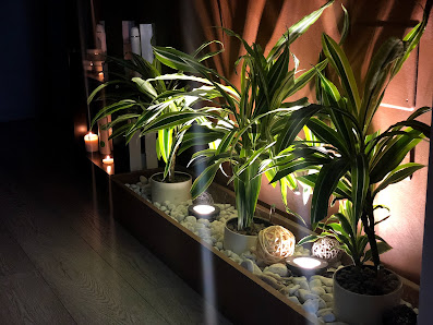 Immagine Beauty Essence 3