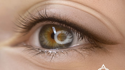 Immagine Lia Giustarini - Lia Group 1