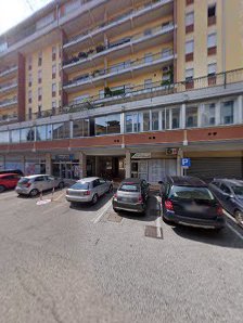 Immagine Volpe Rosanna 2