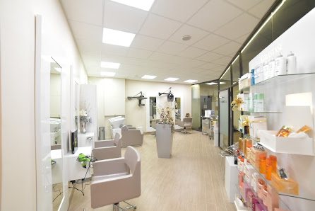 Immagine Anima E Corpo Sas 2