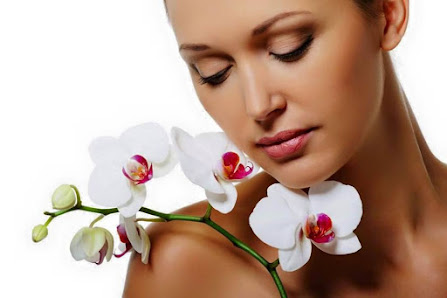 Immagine Estequipe Di Passaro Cosimina e sas 1