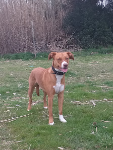 Immagine Centro Estetica Giada 1