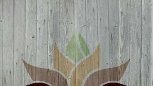 Immagine Pacifico Beauty Center 3