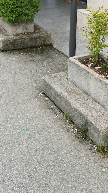 Immagine Bye Bye Pelos - Novam Aesthetic di Pesile Pamela 3