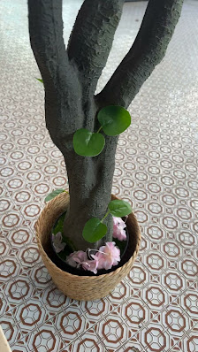 Immagine VIP CENTER VIPMETabolicenter 1