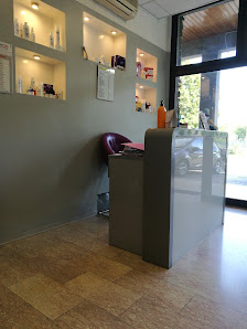 Immagine Miami Sun Formigine 2