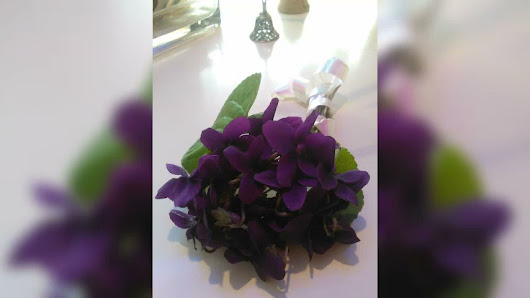 Immagine Estetica Giulia Di Minella Giulia 3