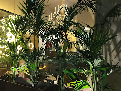 Immagine Denise Maison | Centro Estetico e Remise En Forme 1