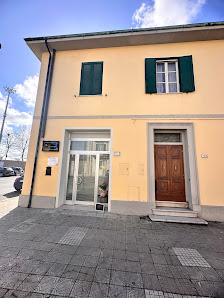 Immagine Vis harmony 5