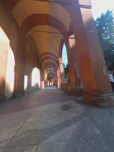 Immagine Soloperte Bologna 3