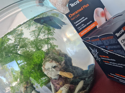 Immagine Centro Estetico Ely 1