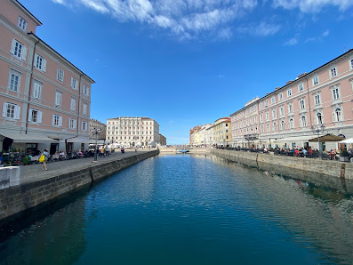 Immagine GyrotonicTrieste Di Civiello Nicole 1