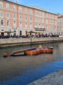 Immagine GyrotonicTrieste Di Civiello Nicole 2