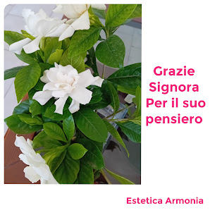 Immagine Estetica Armonia 2