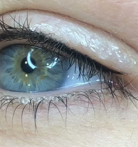 Immagine Metamorfosi di Trinca Federica 3