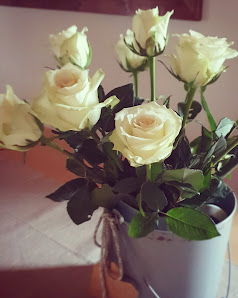 Immagine Salute & Bellezza 1