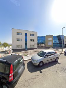 Immagine Palestra Basaki 2