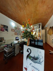 Immagine Estetica Dermo-Art Pisa 4