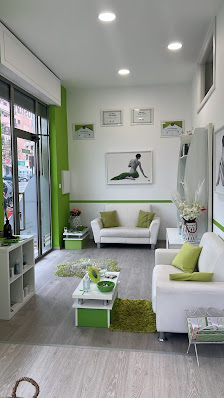 Immagine Nomasvello Rende Cosenza 3