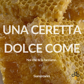 Immagine Tropical Center Piacenza 2