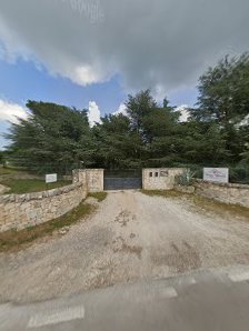 Immagine Venus Woods di Tania Demita 4