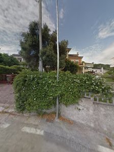 Immagine Di Pronio Patrizia 1