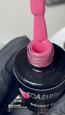 Immagine Estetica Alice Torvaianica 3