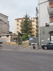 Immagine She'z Chic Elena 2