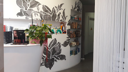 Immagine Il Cigno di Capobianco Daniela 1