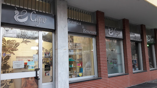 Immagine Il Cigno di Capobianco Daniela 2