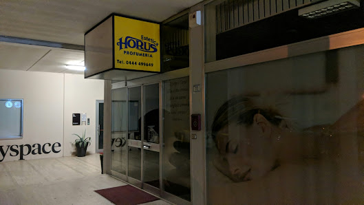 Immagine Estetica Horus Di Ferrari Sonia 2