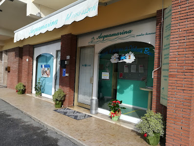 Immagine Acquamarina Snc Di Carletti Daniela E Martinelli Barbara 1