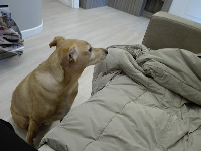 Immagine Estetica Patty 1