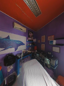 Immagine Dolphin Club Trieste 2