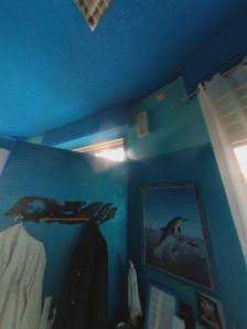 Immagine Dolphin Club Trieste 4