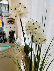 Immagine Clio Estetica 4